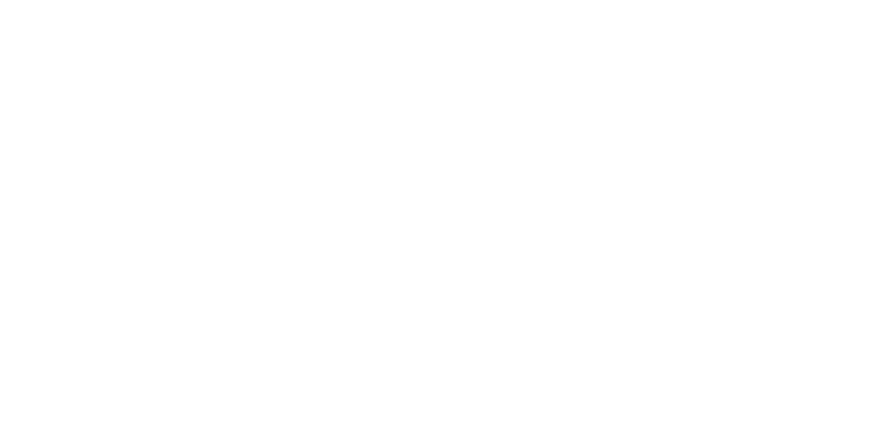 Disibility Confident Leader Logo
